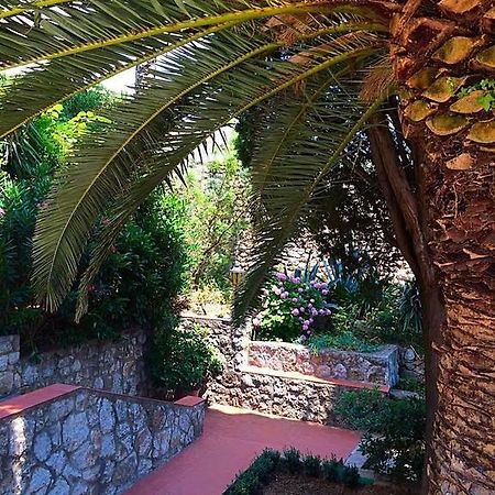 Villa Karolina Dubrovnik Cameră foto
