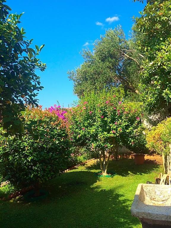 Villa Karolina Dubrovnik Exterior foto