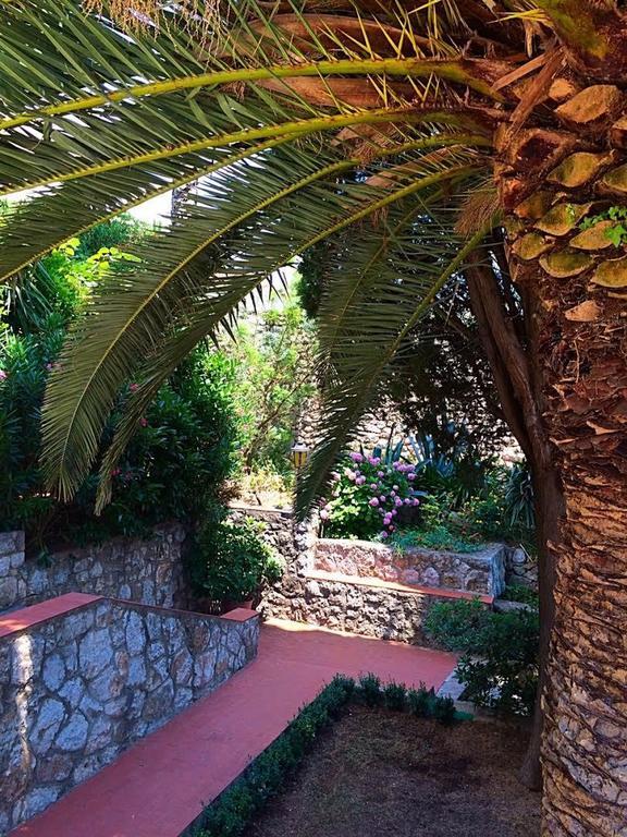 Villa Karolina Dubrovnik Cameră foto