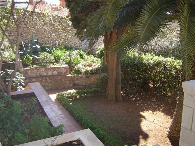 Villa Karolina Dubrovnik Cameră foto